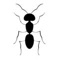 Vector silhouette of an ant on a white background. Illustration of an ant Royalty Free Stock Photo