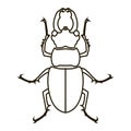 Vector silhouette beetle