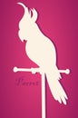 Vector silhouette of bird. Parrot on perch. Paper art Royalty Free Stock Photo
