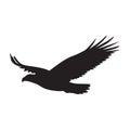 Vector silhouette of the Bird of Prey in flight with wings spread Royalty Free Stock Photo