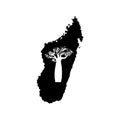 Vector silhouette black Madagascar with white baobab silhouette