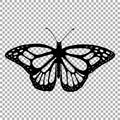 Vector silhouette of butterfly monarch