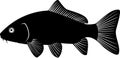 Vector silhouette of Carp