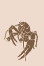 Vector silhouette of crab , graphical sepia illustration, vintage seafood element