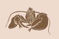 Vector silhouette of crab , graphical sepia illustration, vintage seafood element