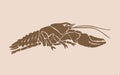 Vector silhouette of crab , graphical sepia illustration, vintage seafood element