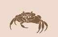 Vector silhouette of crab , graphical sepia illustration, vintage seafood element