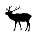 Vector silhouette deer with antler. Vector deer