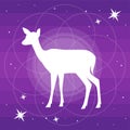 Vector silhouette of deer or doe flat Illustration on a gradient purple backgroud with constellation of stars and soft light