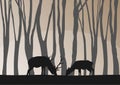 vector silhouette of the deers in thick wood