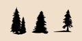 Vector silhouette of different pine trees. Pine trees illustration set, Black silhouette Trees vector, Pine tree vector Royalty Free Stock Photo