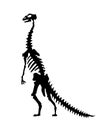 Vector silhouette of dinosaurs skeleton. Hand drawn dino skeleton. Dinosaur bones, exhibit fossils in the museum Royalty Free Stock Photo
