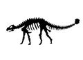 Vector silhouette of dinosaurs skeleton. Hand drawn dino skeleton. Dinosaur bones, exhibit fossils in the museum