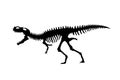 Vector silhouette of dinosaurs skeleton. Hand drawn dino skeleton. Dinosaur bones, exhibit fossils in the museum Royalty Free Stock Photo