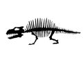 Vector silhouette of dinosaurs skeleton. Hand drawn dino skeleton. Dinosaur bones, exhibit fossils in the museum