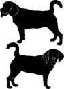 Vector silhouette dog beagle breed Royalty Free Stock Photo