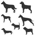Vector silhouette of dog on white background. Collection of silhouettes of various dogs