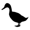 Vector Silhouette of Duck Royalty Free Stock Photo