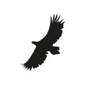 Vector silhouette of the eagle in flight with wings spread Royalty Free Stock Photo