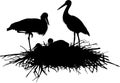 Vector silhouette family of storks in the nest Royalty Free Stock Photo