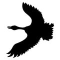 Silhouette of flying goose