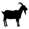 Vector Silhouette of Goat