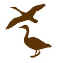 Vector silhouette goose Royalty Free Stock Photo