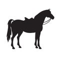 Vector silhouette of horse with saddle and bridle Royalty Free Stock Photo