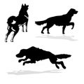 Vector silhouette hunt dogs Royalty Free Stock Photo