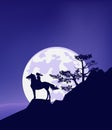 vector silhouette outline of native american indian woman riding horse and full moon night landscape Royalty Free Stock Photo