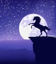 Vector silhouette outline of wild mustang horse rearing up against starry night sky Royalty Free Stock Photo
