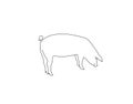 Vector silhouette of pig. Isolated white background. For coloring or packaging design. In linear style Royalty Free Stock Photo