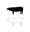 Vector silhouette of pig. Isolated white background. For coloring or packaging design. In linear style Royalty Free Stock Photo