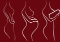 Vector silhouette of pregnant girl.Pregnancy stage