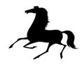 Vector silhouette running horse Royalty Free Stock Photo