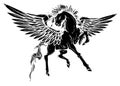 Vector silhouette running horse Pegasus black silhouette illustartion design Royalty Free Stock Photo