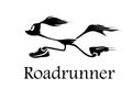 Roadrunner Royalty Free Stock Photo