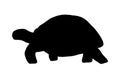 Vector silhouette sea turtle isolated on white background. Hand drawn illustration ocean animal Royalty Free Stock Photo