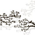 Vector silhouette of spring birds sitting on twig of tree. Decorative branch of tree with birds.