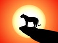 Vector silhouette tiger standing on rock on sunset Royalty Free Stock Photo