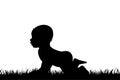 Vector silhouette of toddler. Royalty Free Stock Photo