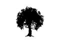 Vector silhouette tree icon isolated on white background. Tree concept logo design Royalty Free Stock Photo