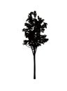Vector silhouette of a tree on a white
