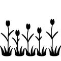 Vector Silhouette of Tulips and Grass for Nature Inspired Art and Design Projects Royalty Free Stock Photo