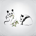 Vector silhouette of two pandas. vector illustration