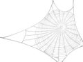 Vector silhouette of web of spider.