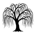 Elegant weeping willow tree silhouette icon, graceful drooping branches for serene garden and memorial graphics. Royalty Free Stock Photo