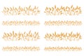 Vector silhouette of wheat. Set. Wheat in a field on a white background Royalty Free Stock Photo