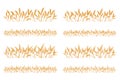 Vector silhouette of wheat. Set. Wheat in a field on a white background Royalty Free Stock Photo