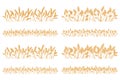 Vector silhouette of wheat. Set. Wheat in a field on a white background Royalty Free Stock Photo